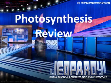 Photosynthesis Review. Light Dep.Vocab.EquationCalvinMisc. $100 $200 $300 $400 $500 FINAL JEOPARDY FINAL JEOPARDY.