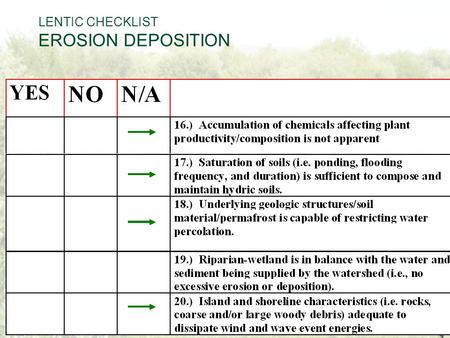 LENTIC CHECKLIST EROSION DEPOSITION. 16: Accumulation of chemicals affecting plant productivity and composition is not apparent Yes.