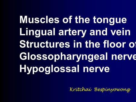 Lingual artery and vein Structures in the floor of the mouth