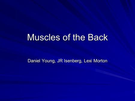 Muscles of the Back Daniel Young, JR Isenberg, Lexi Morton.