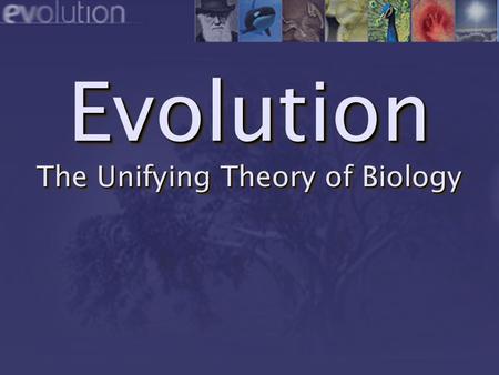 Evolution The Unifying Theory of Biology. 21222324252627282930 11121314151617181920 Contemporary Scientific History of the Universe 12345678910 13.7 billion.