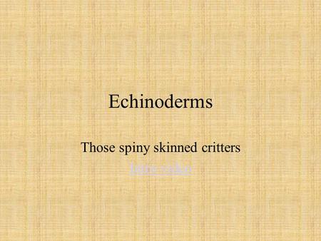 Echinoderms Those spiny skinned critters Intro video.