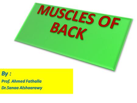 MUSCLES OF BACK By : Prof. Ahmed Fathalla Dr.Sanaa Alshaarawy.
