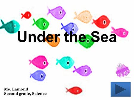 Under the Sea Ms. Lamond Second grade, Science Click on an under the sea creature to learn more about it: JellyfishStingrayOctopus Blue Whale Cleaner.