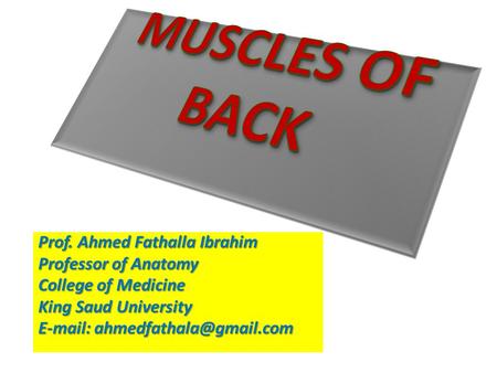 MUSCLES OF BACK Prof. Ahmed Fathalla Ibrahim Professor of Anatomy