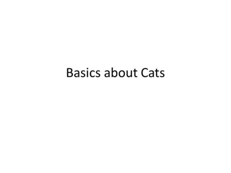 Basics about Cats. History Descendants of Miacis Proailurus, appeared 35 million years ago Egypt, and the Middle East domesticated cats Romans introduced.