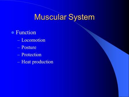 Muscular System Function Locomotion Posture Protection Heat production.