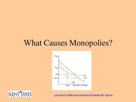 Lectures in Microeconomics-Charles W. Upton What Causes Monopolies?