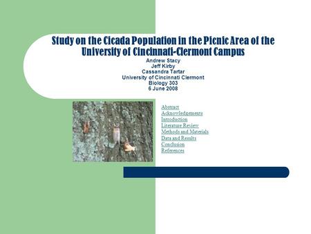 Study on the Cicada Population in the Picnic Area of the University of Cincinnati-Clermont Campus Andrew Stacy Jeff Kirby Cassandra Tartar University of.