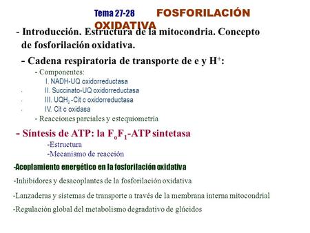 Tema 27-28 FOSFORILACIÓN OXIDATIVA - Introducción. Estructura de la mitocondria. Concepto de fosforilación oxidativa. - Cadena respiratoria de transporte.