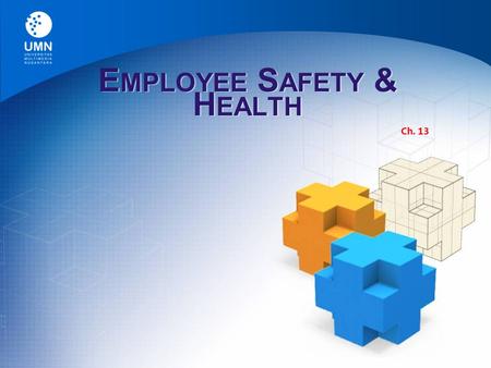E MPLOYEE S AFETY & H EALTH Ch. 13. Occupational Safety Law  Occupational Safety and Health Act The law passed by Congress in 1970 “to assure so far.