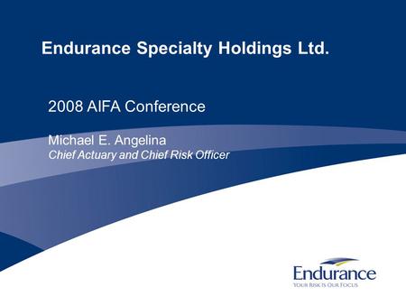 Endurance Specialty Holdings Ltd. 2008 AIFA Conference Michael E. Angelina Chief Actuary and Chief Risk Officer.