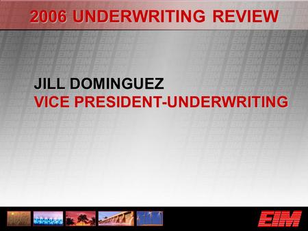 2006 UNDERWRITING REVIEW JILL DOMINGUEZ VICE PRESIDENT-UNDERWRITING.