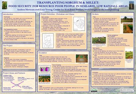 TRANSPLANTING SORGHUM & MILLET: FOOD SECURITY FOR RESOURCE POOR PEOPLE IN SEMI-ARID, LOW RAINFALL AREAS Andrea Mottram & Dr Einir Young, Centre for Arid.