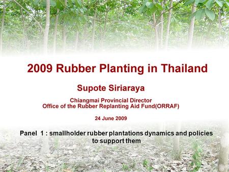 2009 Rubber Planting in Thailand Supote Siriaraya Chiangmai Provincial Director Office of the Rubber Replanting Aid Fund(ORRAF) 24 June 2009 Panel 1 :