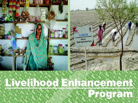 Livelihood Enhancement Program (ON Farm) 1.Small Agri Farm Model: So far 80 small agri farms have been developed, since this model has been piloted during.
