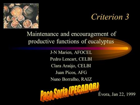 Criterion 3 Maintenance and encouragement of productive functions of eucalyptus J-N Marien, AFOCEL Pedro Lencart, CELBI Clara Araújo, CELBI Juan Picos,
