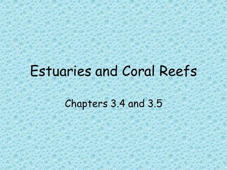 Estuaries and Coral Reefs Chapters 3.4 and 3.5. Estuaries Estuaries are formed where a freshwater river empties into an ocean. The resulting water is.