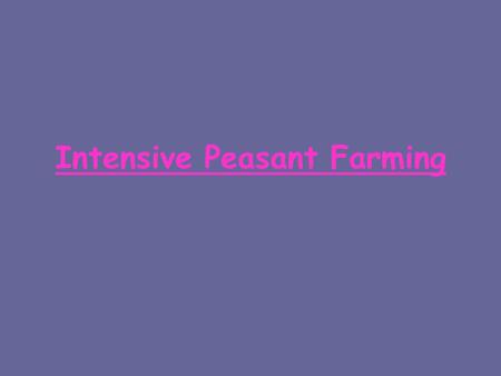 Intensive Peasant Farming
