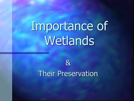 Importance of Wetlands & Their Preservation. What is a wetland? Marsh: soft-stemmed vegetation Swamp: woody plants Bog: freshwater, spongy peat, evergreens,