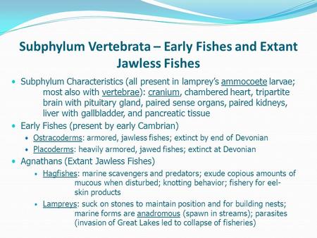 Subphylum Vertebrata – Early Fishes and Extant Jawless Fishes Subphylum Characteristics (all present in lamprey’s ammocoete larvae; most also with vertebrae):