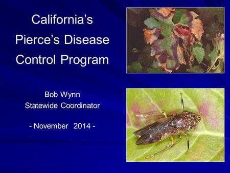 California’s Pierce’s Disease Control Program Bob Wynn Statewide Coordinator - November 2014 -