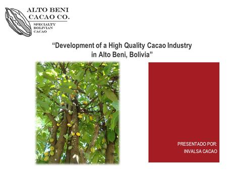 “Development of a High Quality Cacao Industry in Alto Beni, Bolivia” PRESENTADO POR: INVALSA CACAO.
