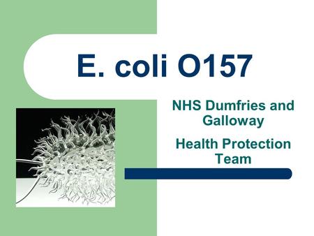 E. coli O157 NHS Dumfries and Galloway Health Protection Team.