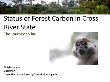 Status of Forest Carbon in Cross River State The Journey so far Odigha odigha Chairman Cross River State Forestry Commission, Nigeria.