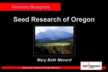 Improving Turfgrass Through Research Seed Research of Oregon Kentucky Bluegrass Mary Beth Menard.