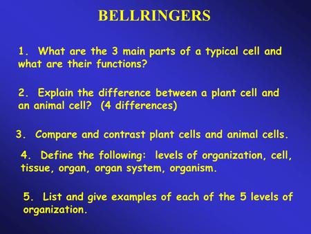 BELLRINGERS 1. What are the 3 main parts of a typical cell and what are their functions? 2. Explain the difference between a plant cell and an animal cell?