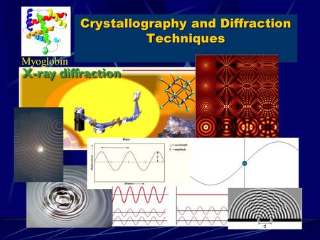 Crystallography and Diffraction Techniques Myoglobin.