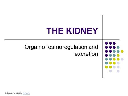Organ of osmoregulation and excretion