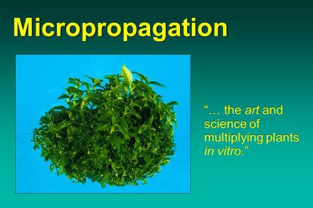 Micropropagation “… the art and science of multiplying plants in vitro.”