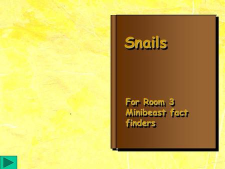 SnailsSnails For Room 3 Minibeast fact finders Diagram of a snail Snails How they breathe Snails need air to breathe. They have lungs. If you want to.