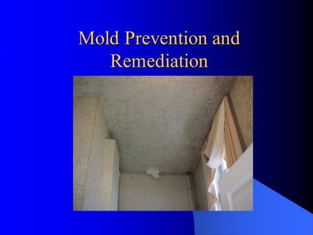 Mold Prevention and Remediation. Agenda How Does Mold Exposure Occur? Requirements for Mold Growth Health Effects Associated with Mold Exposure Objective.