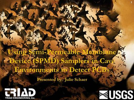 Using Semi-Permeable Membrane Device (SPMD) Samplers in Cave Environments to Detect PCBs Presented by: Julie Schaer 1.