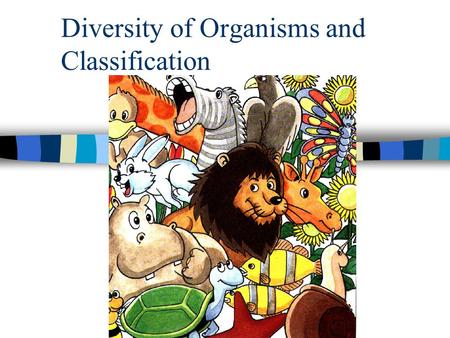 Diversity of Organisms and Classification Classification of Organisms Kingdom Phylum / Division Class Order Family Genus Species.