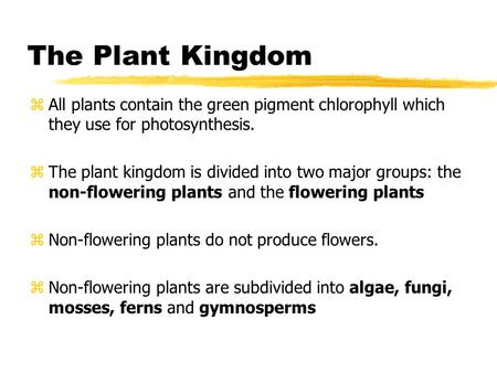 The Plant Kingdom All plants contain the green pigment chlorophyll which they use for photosynthesis. The plant kingdom is divided into two major groups: