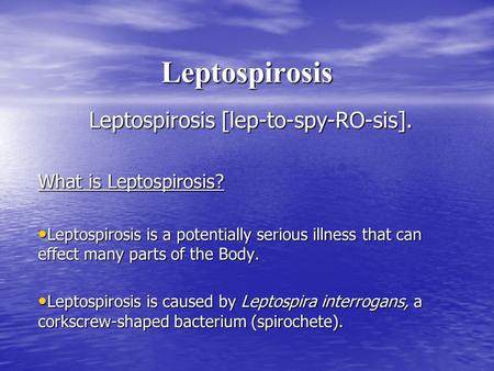Leptospirosis Leptospirosis [lep-to-spy-RO-sis]. What is Leptospirosis? Leptospirosis is a potentially serious illness that can effect many parts of the.