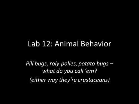 Lab 12: Animal Behavior Pill bugs, roly-polies, potato bugs – what do you call ‘em? (either way they’re crustaceans)