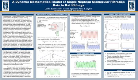 TEMPLATE DESIGN © 2008 www.PosterPresentations.com A Dynamic Mathematical Model of Single Nephron Glomerular Filtration Rate in Rat Kidneys Justin Summerville;