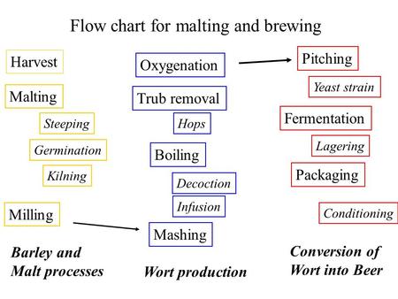 Flow chart for malting and brewing