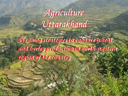 Agriculture Uttarakhand Agriculture Uttarakhand Planning strategies to enhance wheat and barley production in north-western region of the country.