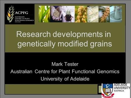 6 Mark Tester Australian Centre for Plant Functional Genomics University of Adelaide Research developments in genetically modified grains.