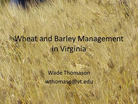 Wheat and Barley Management in Virginia Wade Thomason