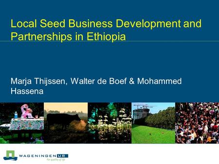 Local Seed Business Development and Partnerships in Ethiopia Marja Thijssen, Walter de Boef & Mohammed Hassena.