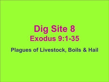 Dig Site 8 Exodus 9:1-35 Plagues of Livestock, Boils & Hail.