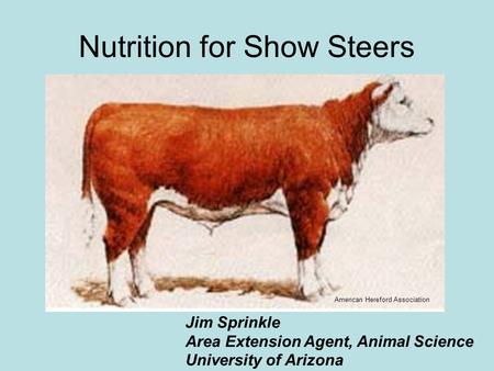 Nutrition for Show Steers Jim Sprinkle Area Extension Agent, Animal Science University of Arizona American Hereford Association.