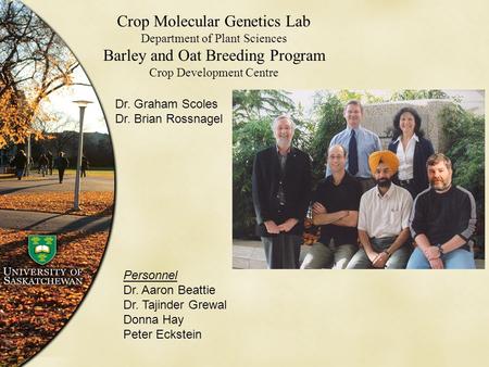 Dr. Graham Scoles Dr. Brian Rossnagel Crop Molecular Genetics Lab Department of Plant Sciences Barley and Oat Breeding Program Crop Development Centre.